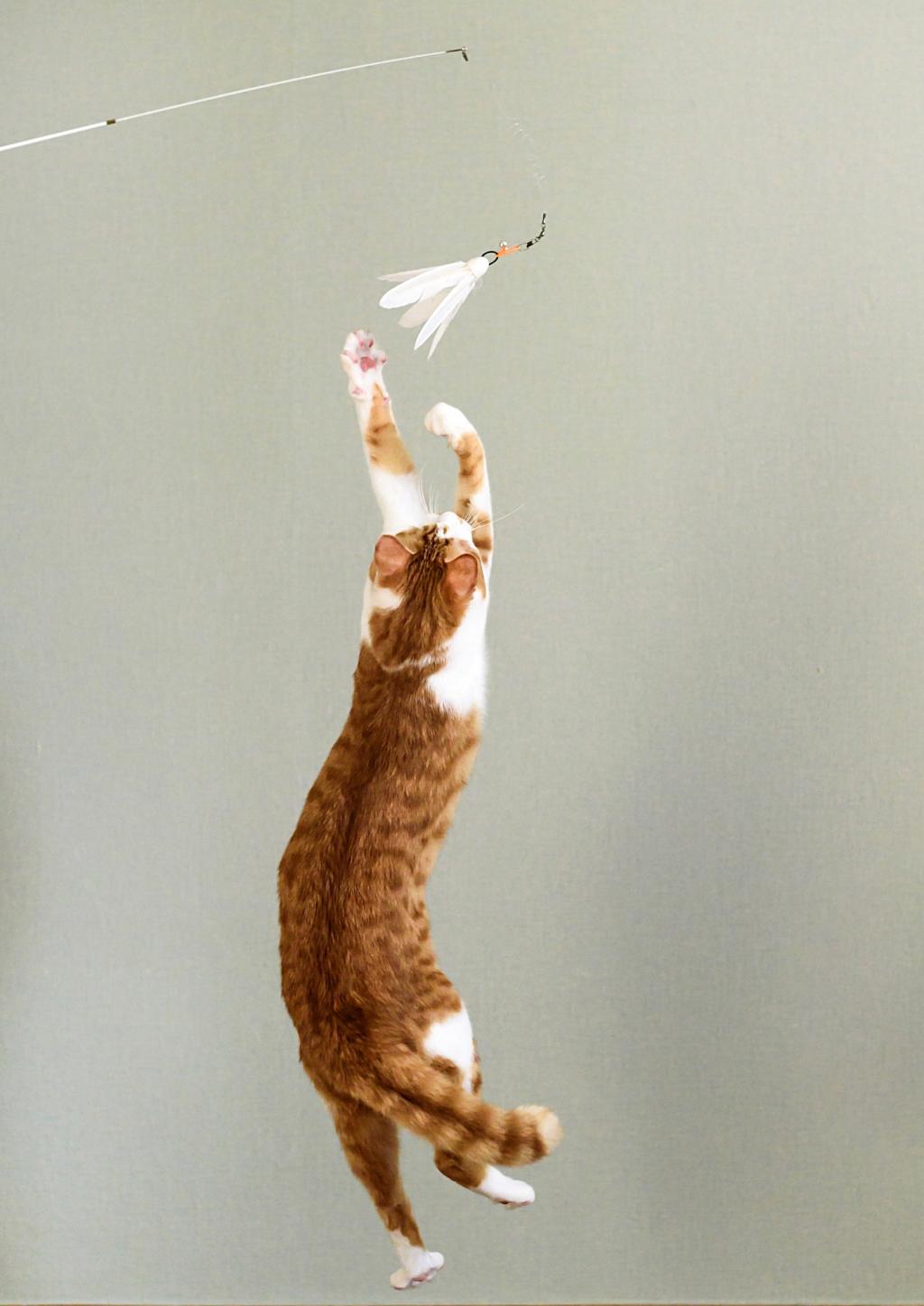 브랜드 라인업업 이미지