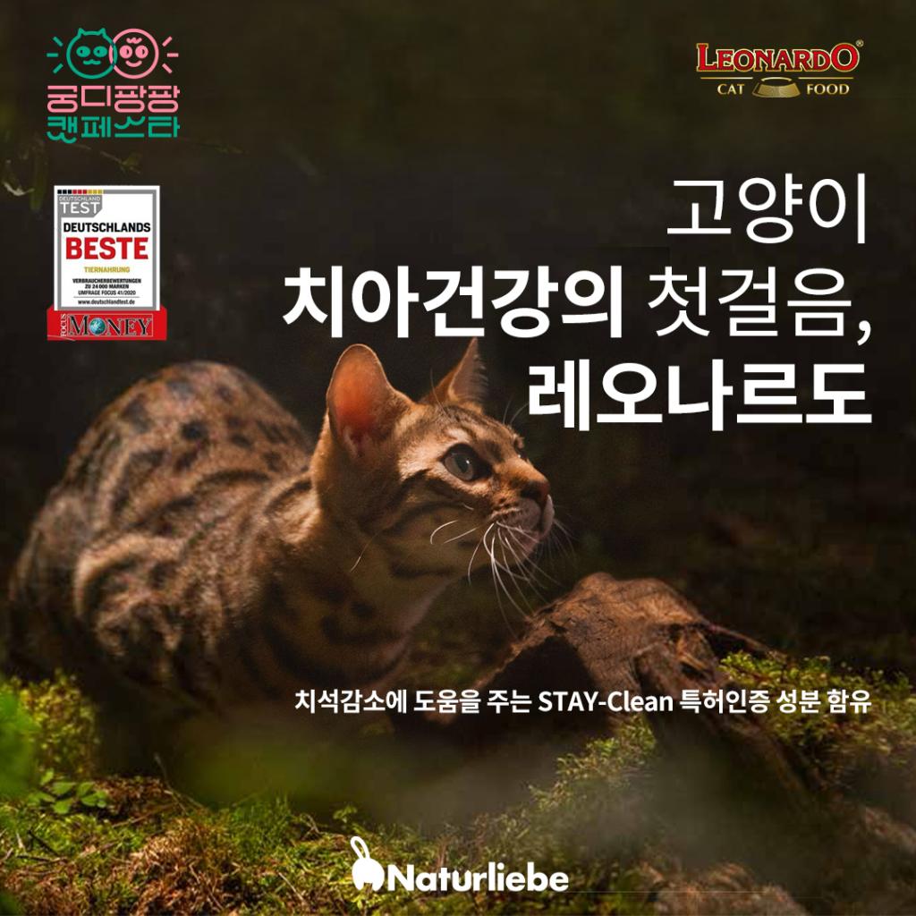 브랜드 라인업업 이미지