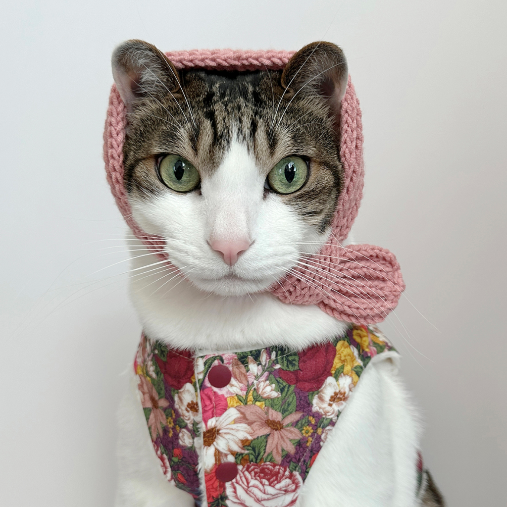 브랜드 라인업업 이미지