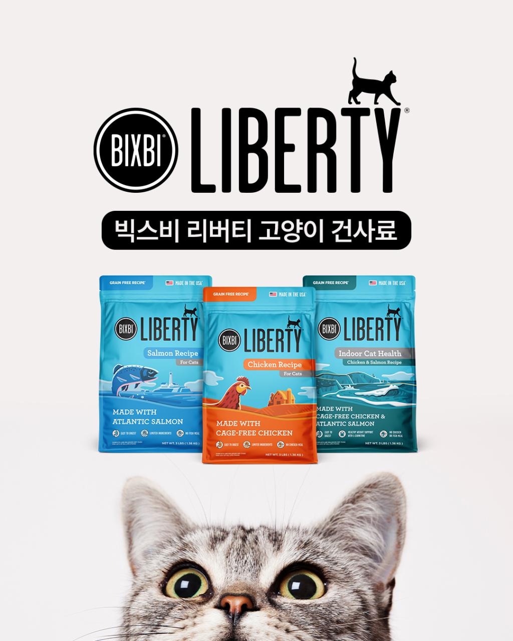 브랜드 라인업업 이미지