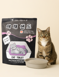 브랜드 라인업업 이미지