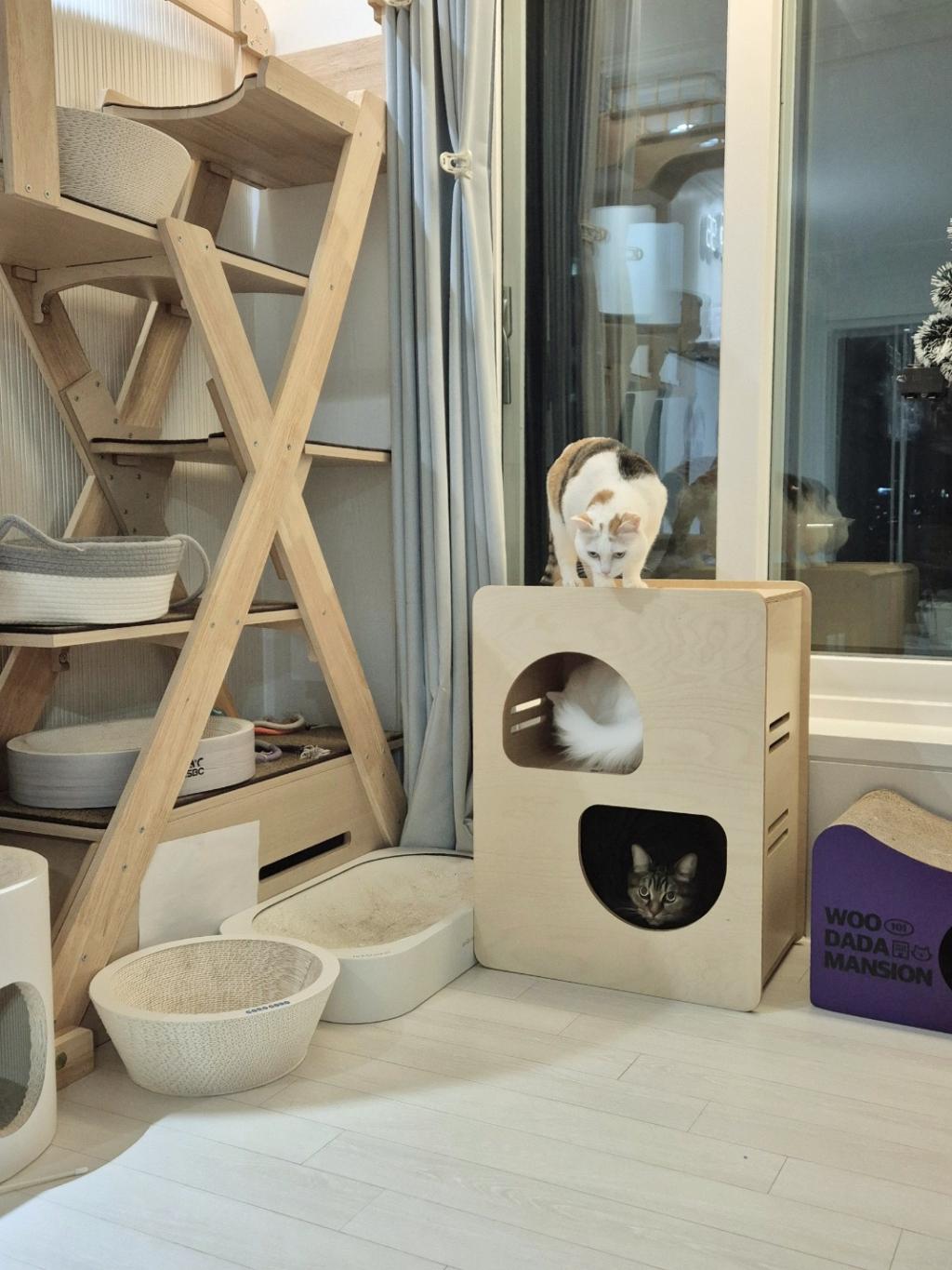 브랜드 라인업업 이미지