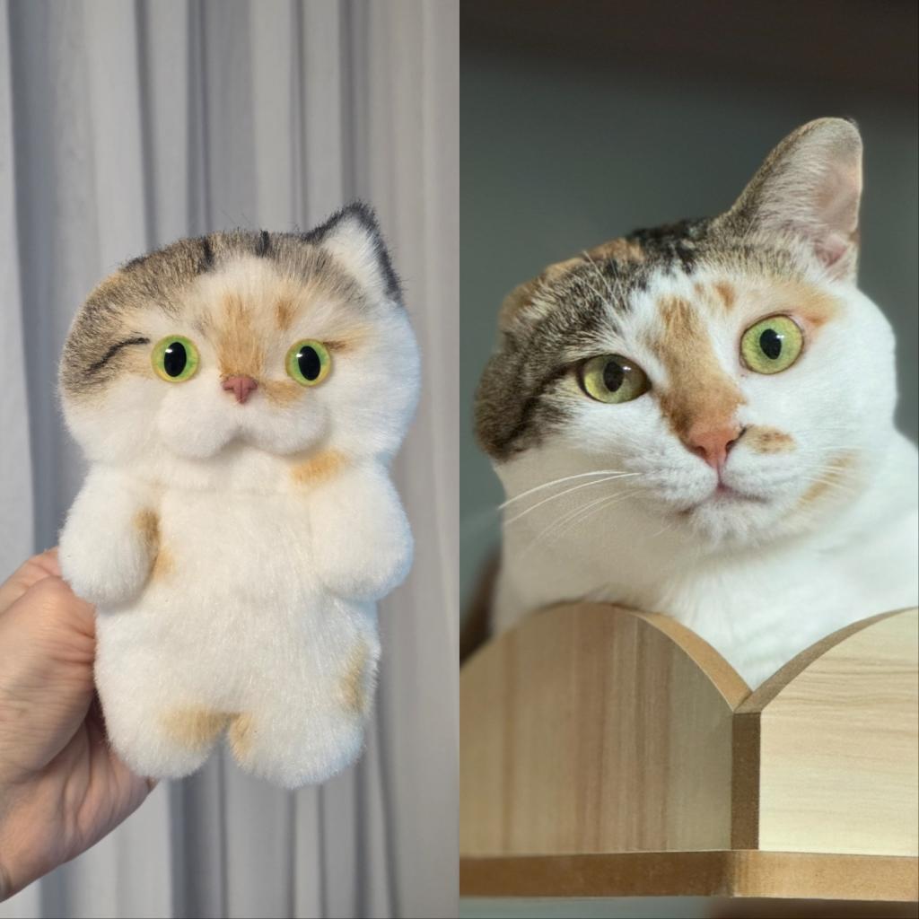 브랜드 라인업업 이미지