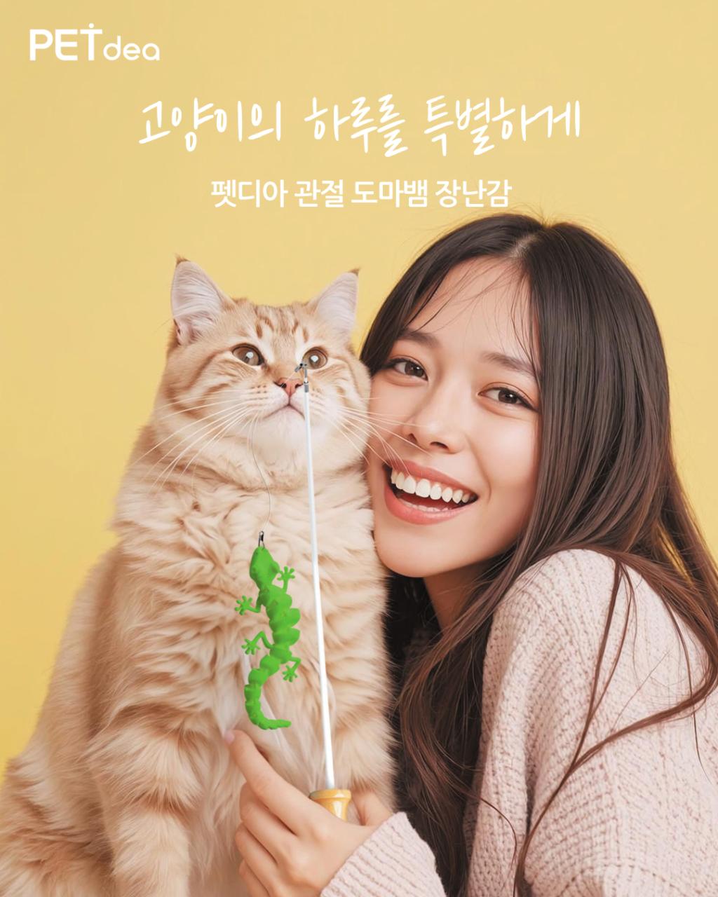 브랜드 라인업업 이미지