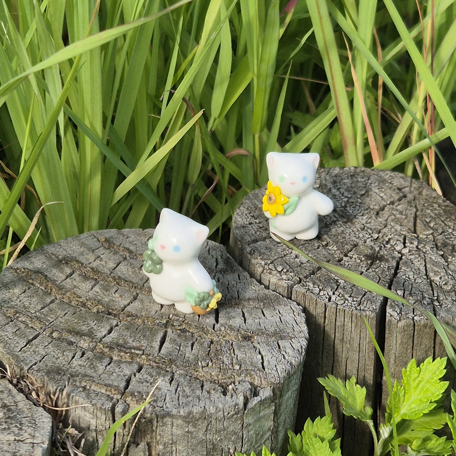 브랜드 메인 이미지