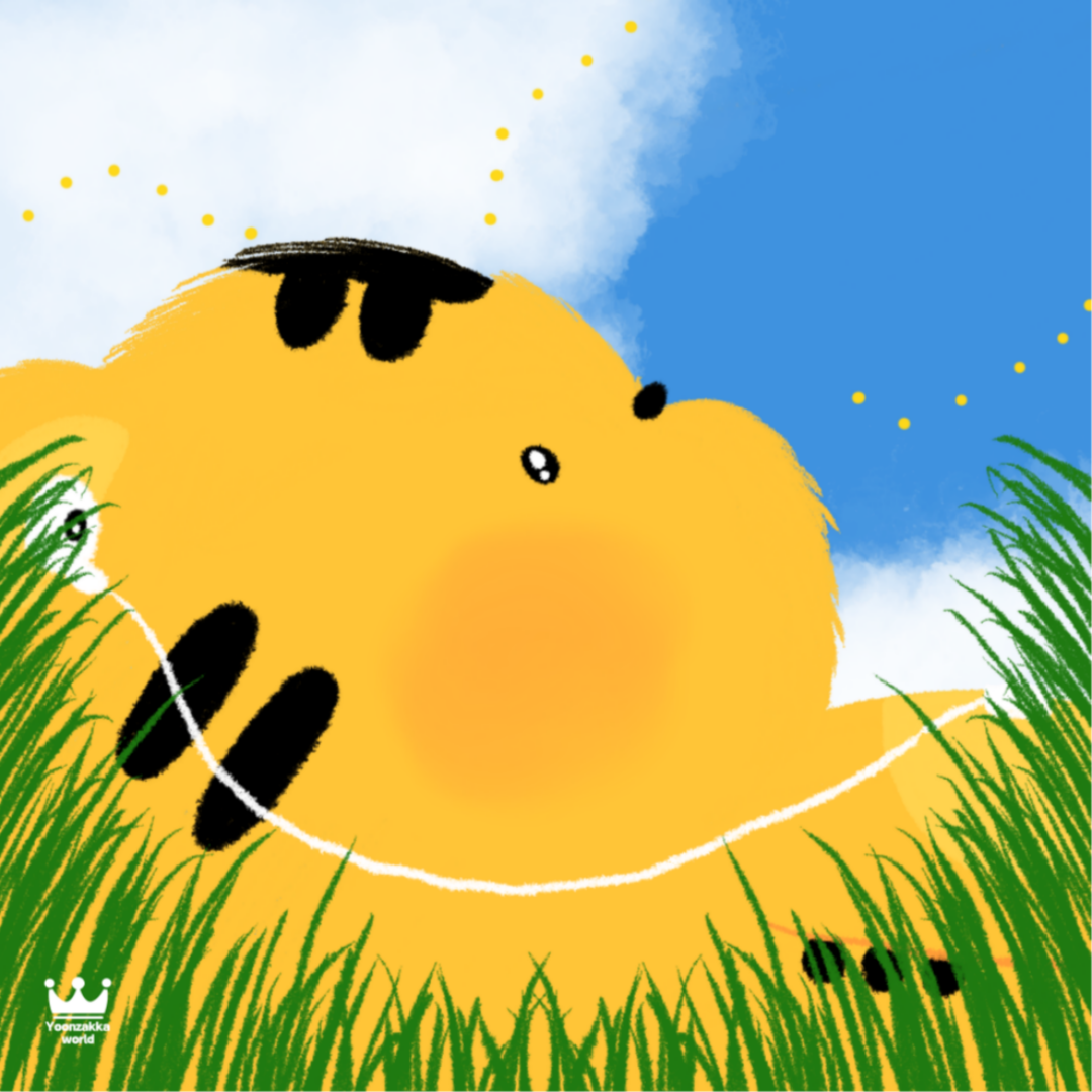 브랜드 메인 이미지