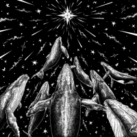 브랜드 메인 이미지