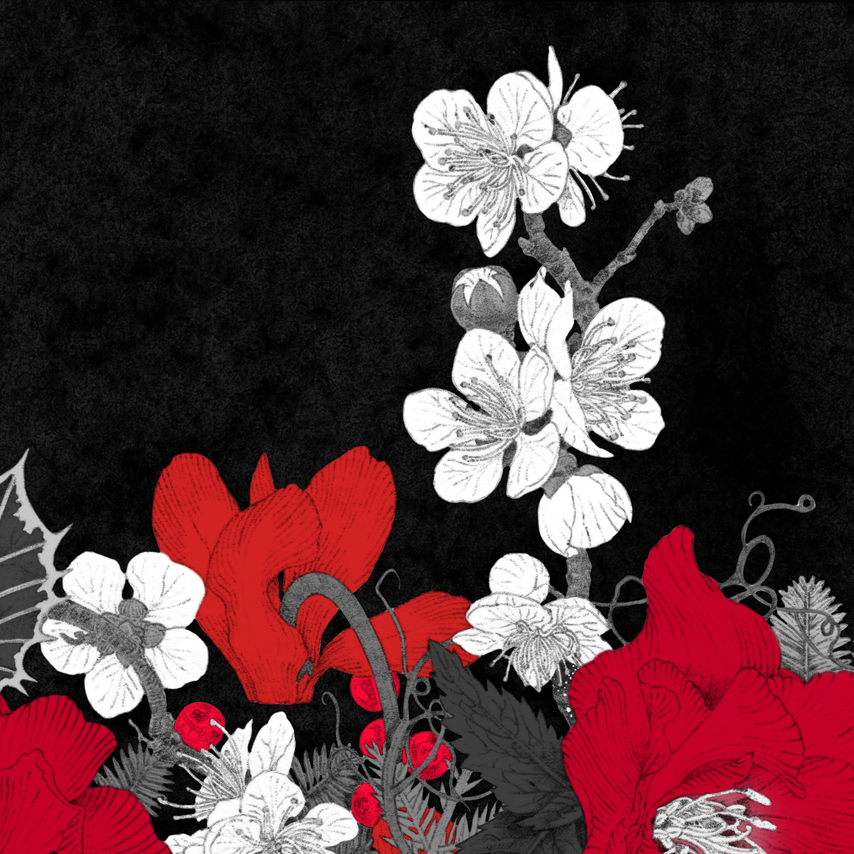 브랜드 메인 이미지