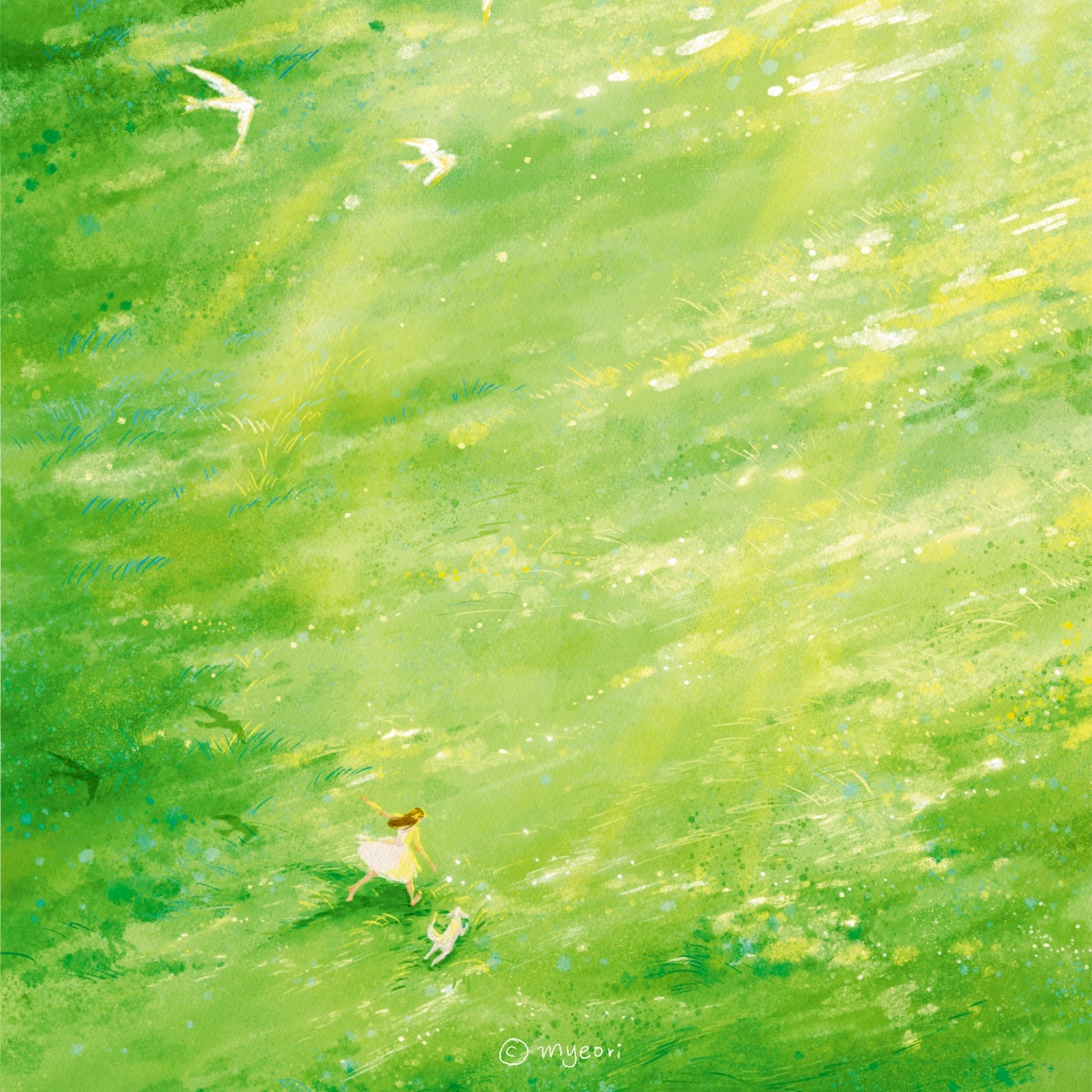 브랜드 메인 이미지