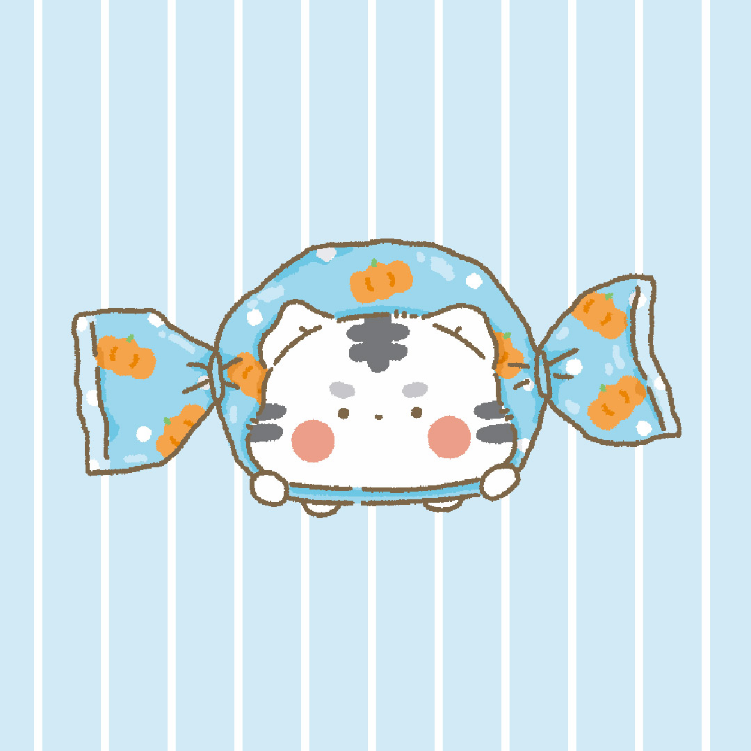 브랜드 메인 이미지