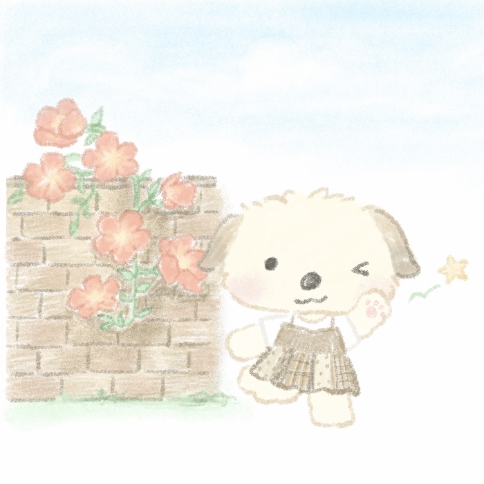 브랜드 메인 이미지