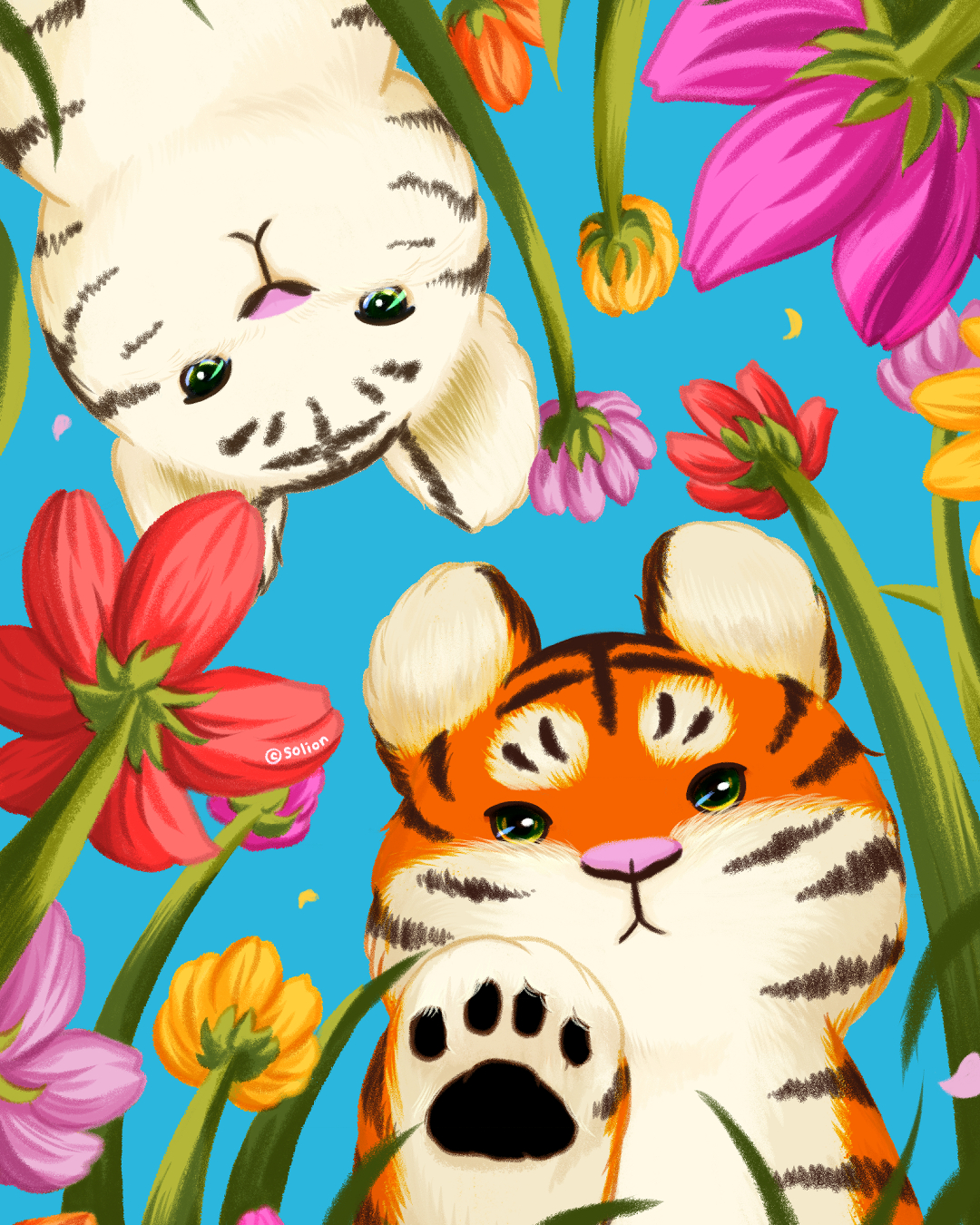 브랜드 메인 이미지