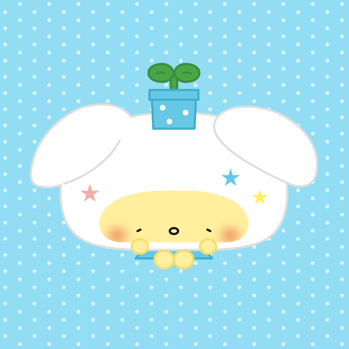 브랜드 메인 이미지